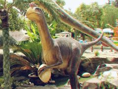 -陕西自然博物馆