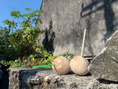 -三亚西岛海洋文化旅游区