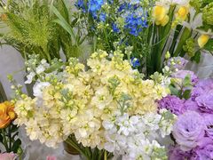 -Flower in(密渡桥店)