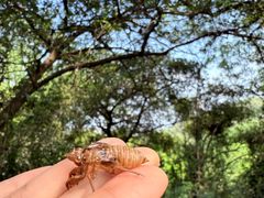 -南国桃园旅游度假区