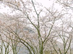 -龙美术馆(西岸馆)
