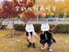 -三里屯东五街银杏大道