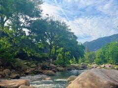 -崂山水果园农家宴(泉水鸡店)