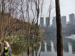 -重庆彩云湖湿地公园