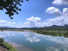 -芦茨金富饭庄·25年老字号·专做稻草鸡