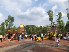 -枫香湖儿童公园