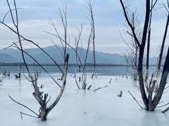 -野鸭湖国家湿地公园