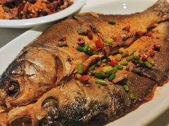 -刘胖子家常菜·蹄花焖藕(兴业店)