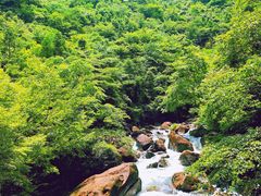 -白云源风景区