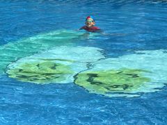 -100蛋泥浆浴