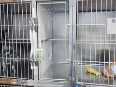 -御宝贝·A梦猫科宠物医院(国际猫友好医院)