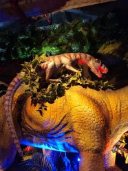 -恐龙探索乐园(磁器口店)