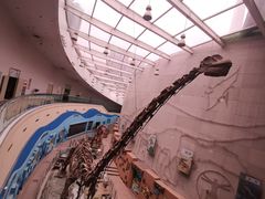 -陕西自然博物馆