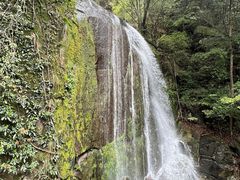 -大鄣山卧龙谷景区