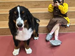 -和它·交个朋友·狗咖猫咖(爱琴海店)