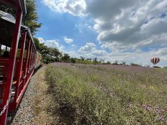 -歌斐颂巧克力小镇