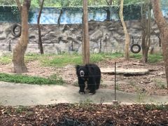 -清迈夜间动物园