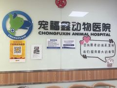 -宠福鑫动物医院(城北分院)