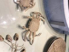 -盘锦特产博物园