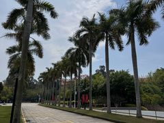 -厦门大学(思明校区)