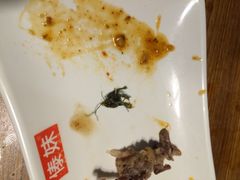 傣妹(南京东路旗舰店)-傣妹火锅(南京东路一店)