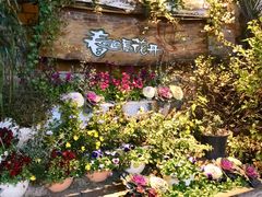 -春暖花开(西溪店)