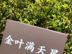 -眉山湿地公园(东坡区)