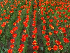 -长春公园(普阳街道)