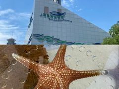 -上海海洋水族馆