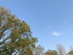 -南京枫彩漫城