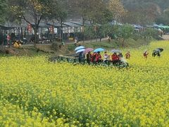 -红山村