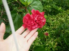 -乐享养生(东湖店)