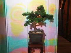 -七色云蔬食(喜邻里店)