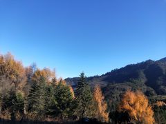 -硗碛藏寨·神木垒景区