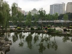 -西宁市人民公园(城西区)