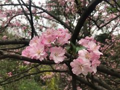 -成都杜甫草堂博物馆