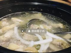 -润泽园椰子鸡(汇一城店)