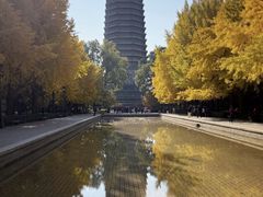 -玲珑塔公园
