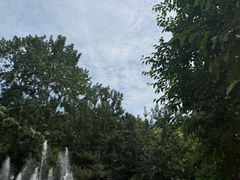 -燕塞湖鸟语林景区
