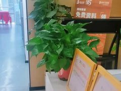 -金吉列留学·语培·小语种·国际课程(西安分公司)