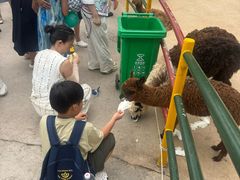 -西霞口神雕山野生动物世界