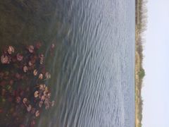 溱湖国家湿地公园-溱湖国家湿地公园