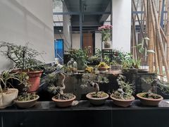 -稍可轩博物馆餐厅