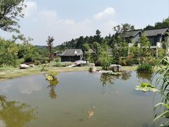 -天目湖涵田度假村