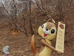 -欢乐松鼠谷