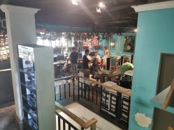 点击看大图 -金棕榈