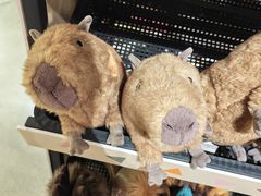 -方所(华润万象城店)