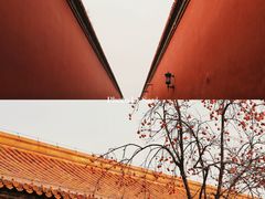 -故宫博物院(故宫)