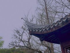 -上海醉白池公园
