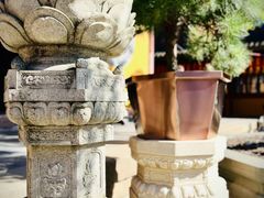 -龙华寺